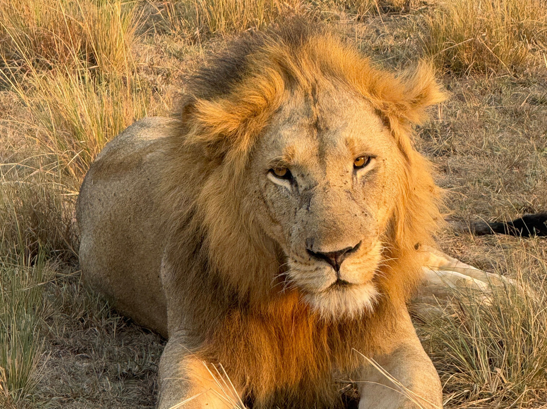 ENCHANTED UGANDA SAFARIS-Fort Portal必去景点