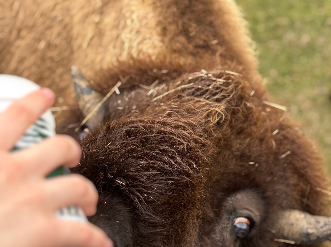 Global Wildlife Center-Folsom必去景点