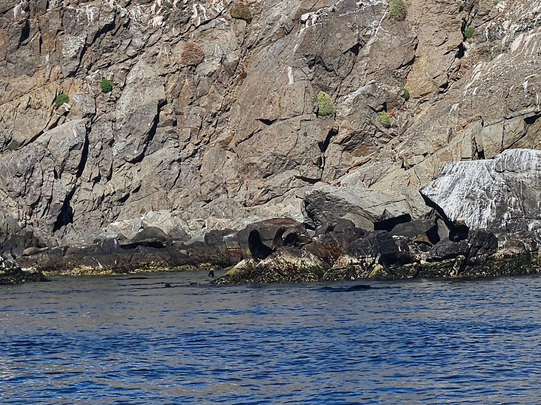 La ventana dive center-La Ventana必去景点