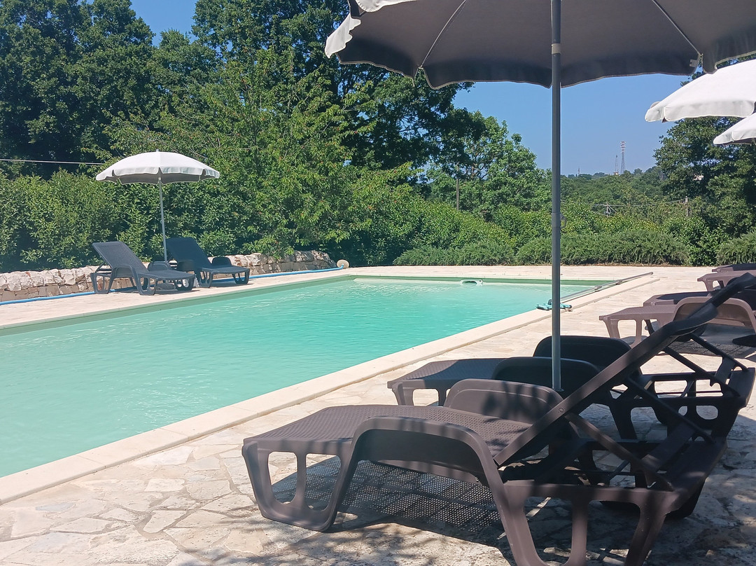 Villa Apollonia B&b主图