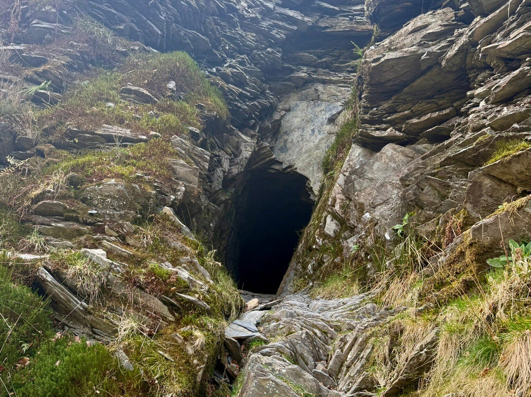 Hafod Uchtryd-阿伯里斯特威斯必去景点
