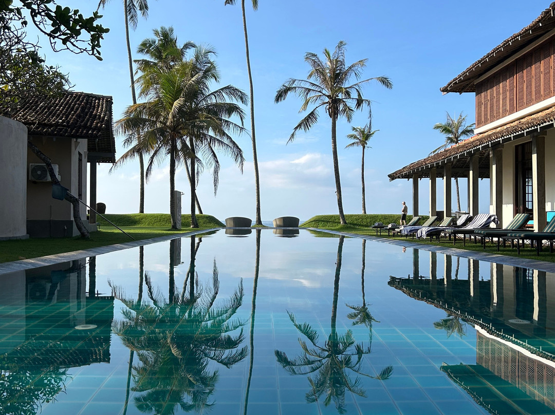 树的弗兰吉帕尼酒店主图