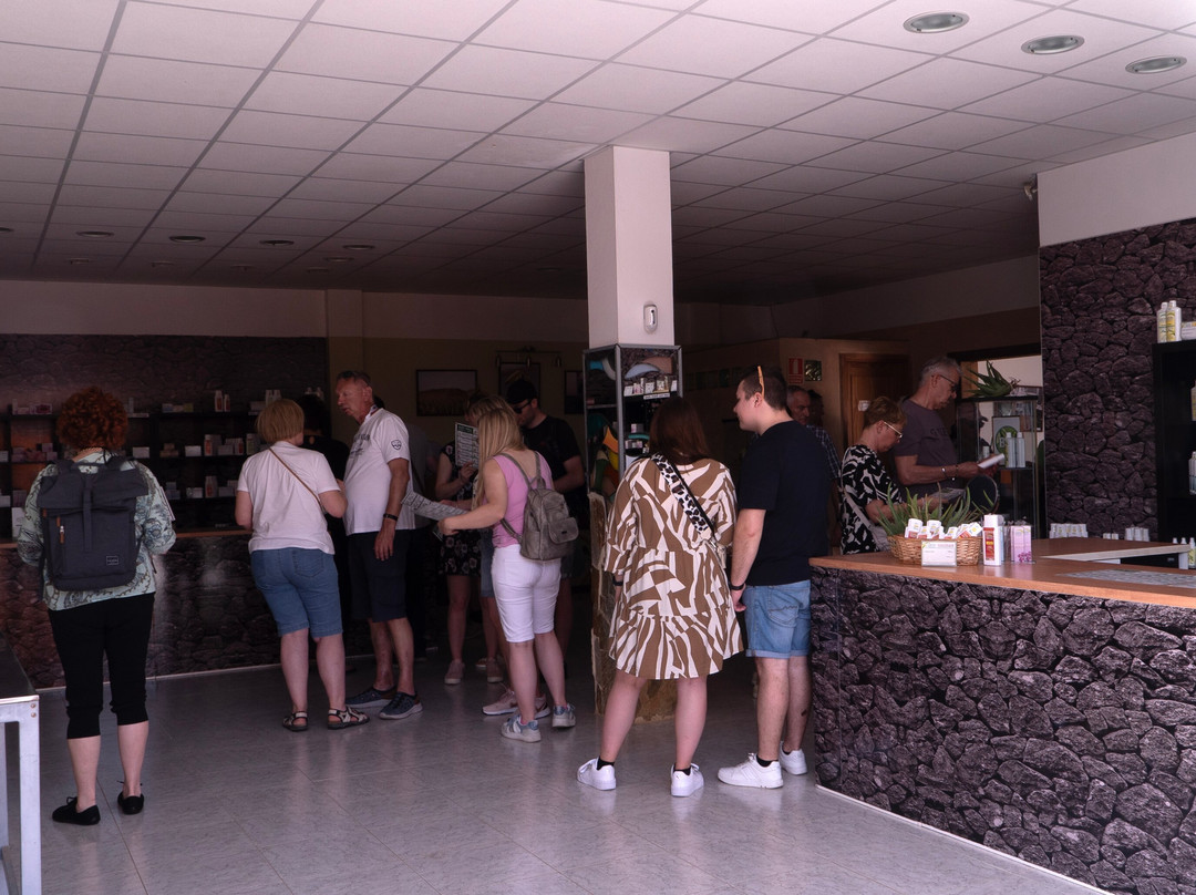 Aloe Vera museum-拉奥利瓦必去景点