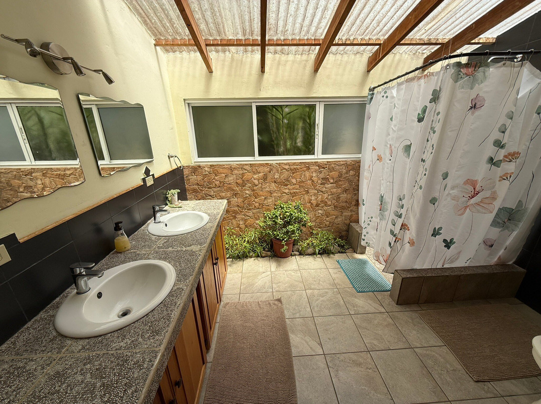 Mount Totumas Cloud Forest主图