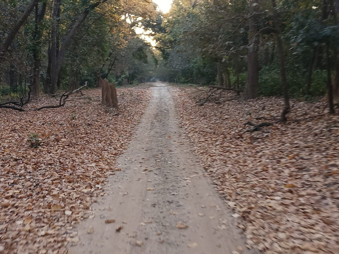 Corbett Safari景点图片
