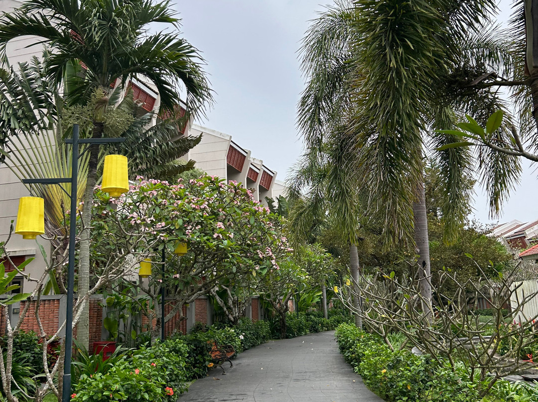 Silk Sense Hoi An River Resort主图