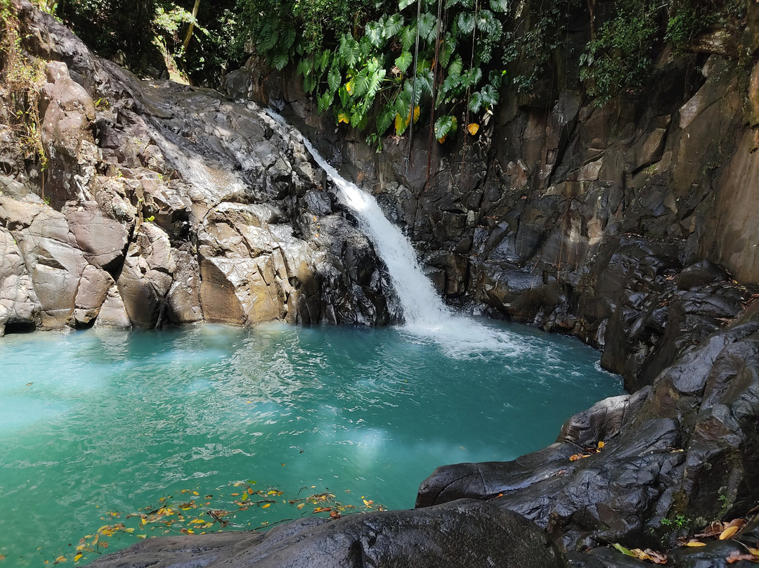 Cascade Le Saut de L'Acomat-Pointe-Noire必去景点