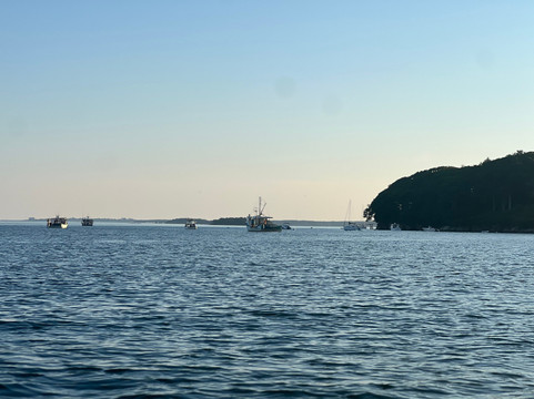 Nauti Sisters Sea Farm