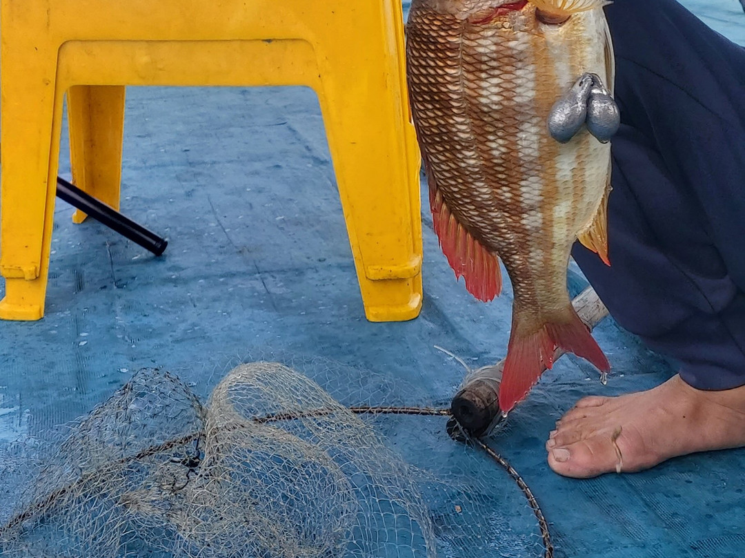 FishingFeel-岘港必去景点