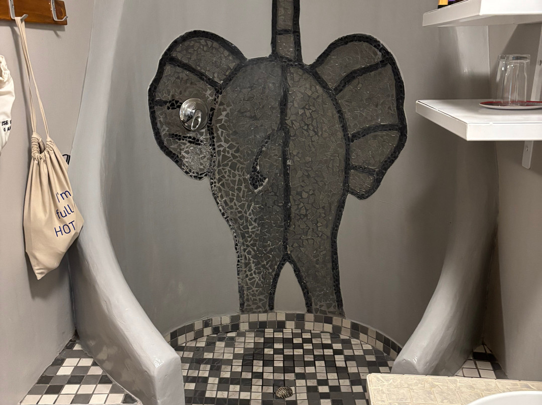 埃托沙乡村酒店主图