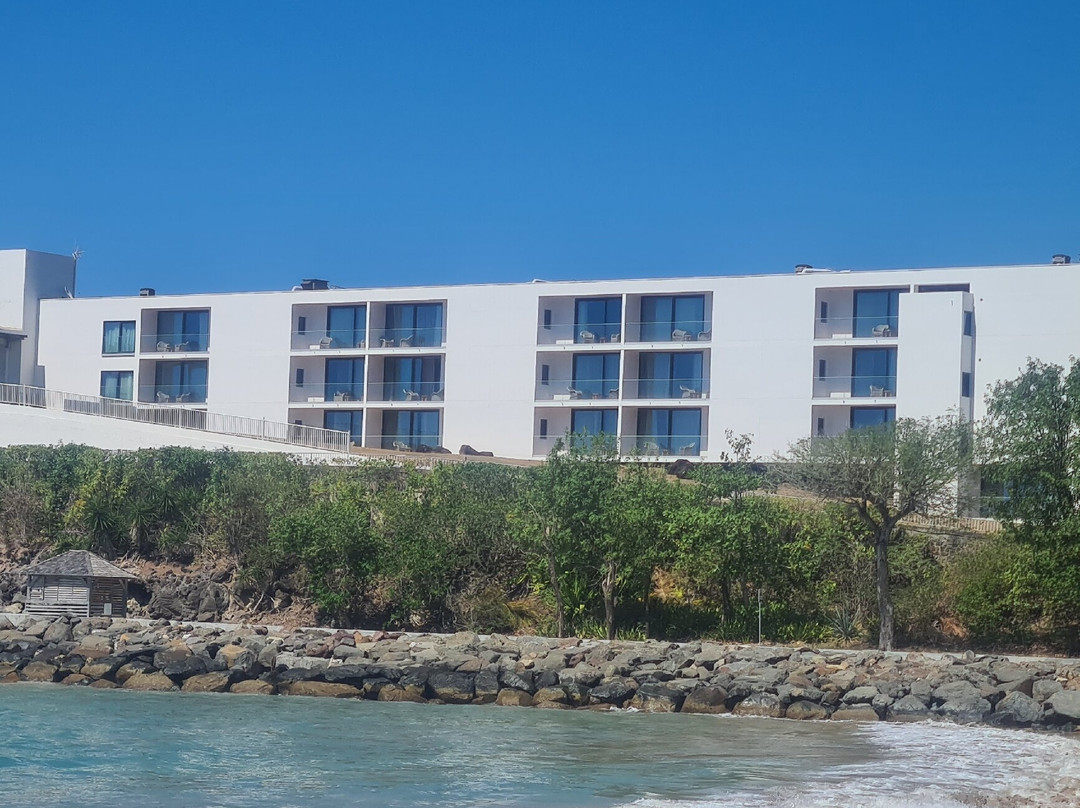 German Butterfly-Pointe-a-Pitre必去景点