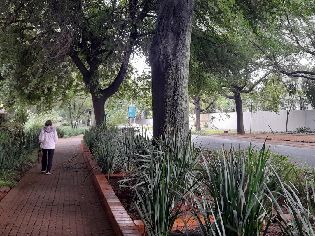 125 on Van Buuren主图