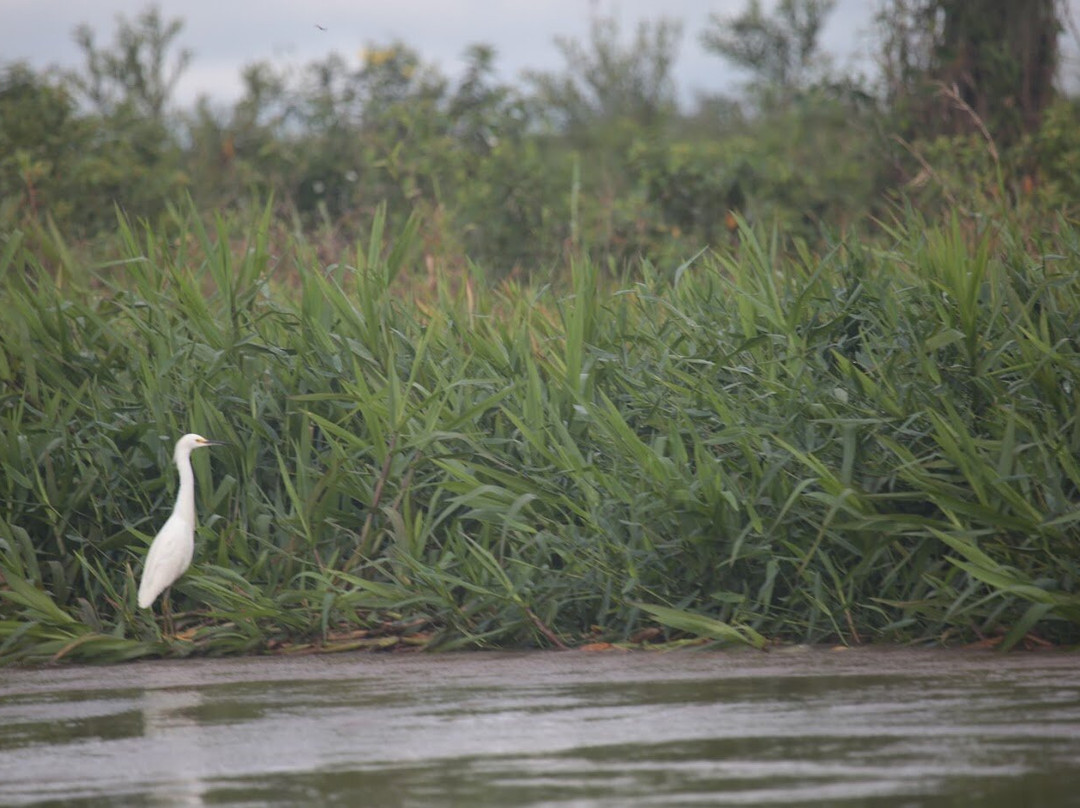 Rio Taquari-Coxim必去景点