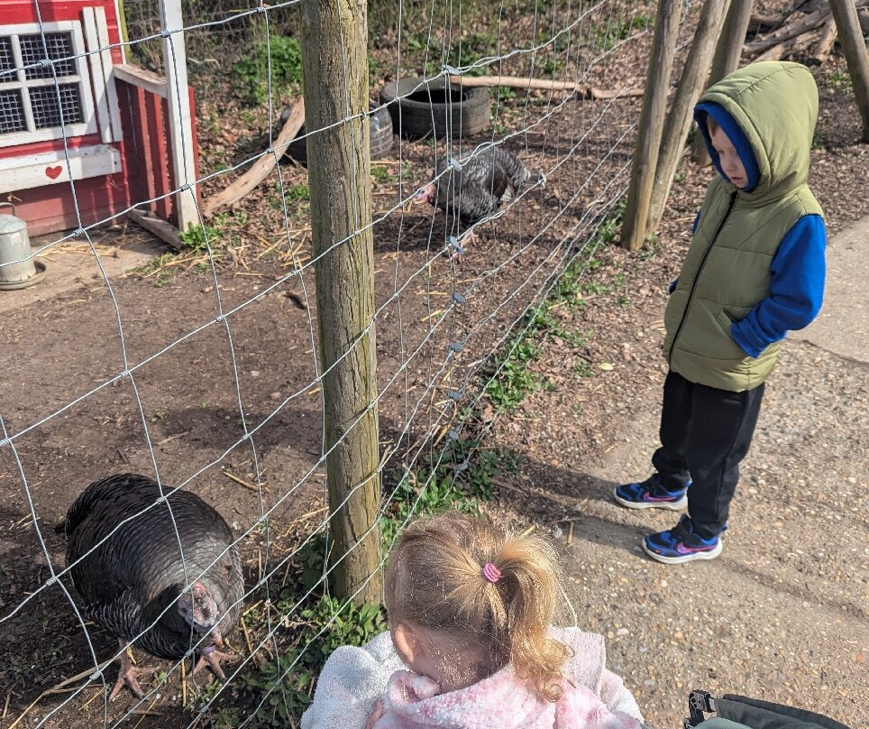 Lee Valley Animal Adventure Park景点图片