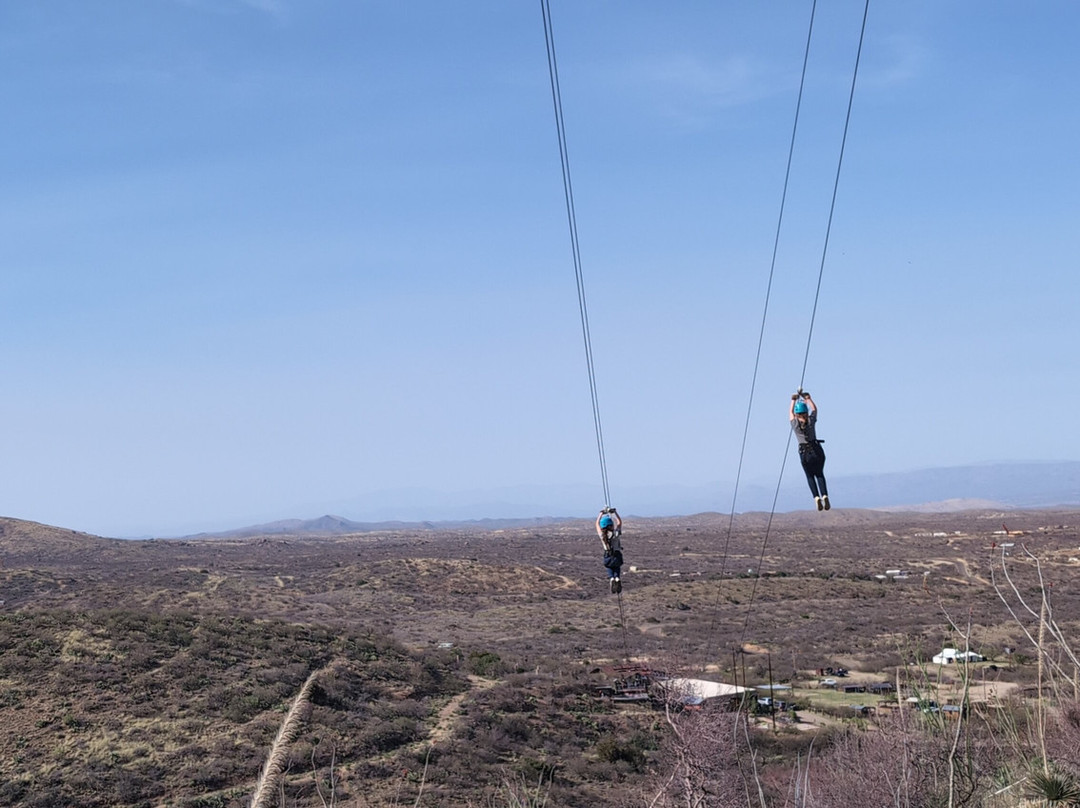 Arizona Zipline Adventures-Oracle必去景点