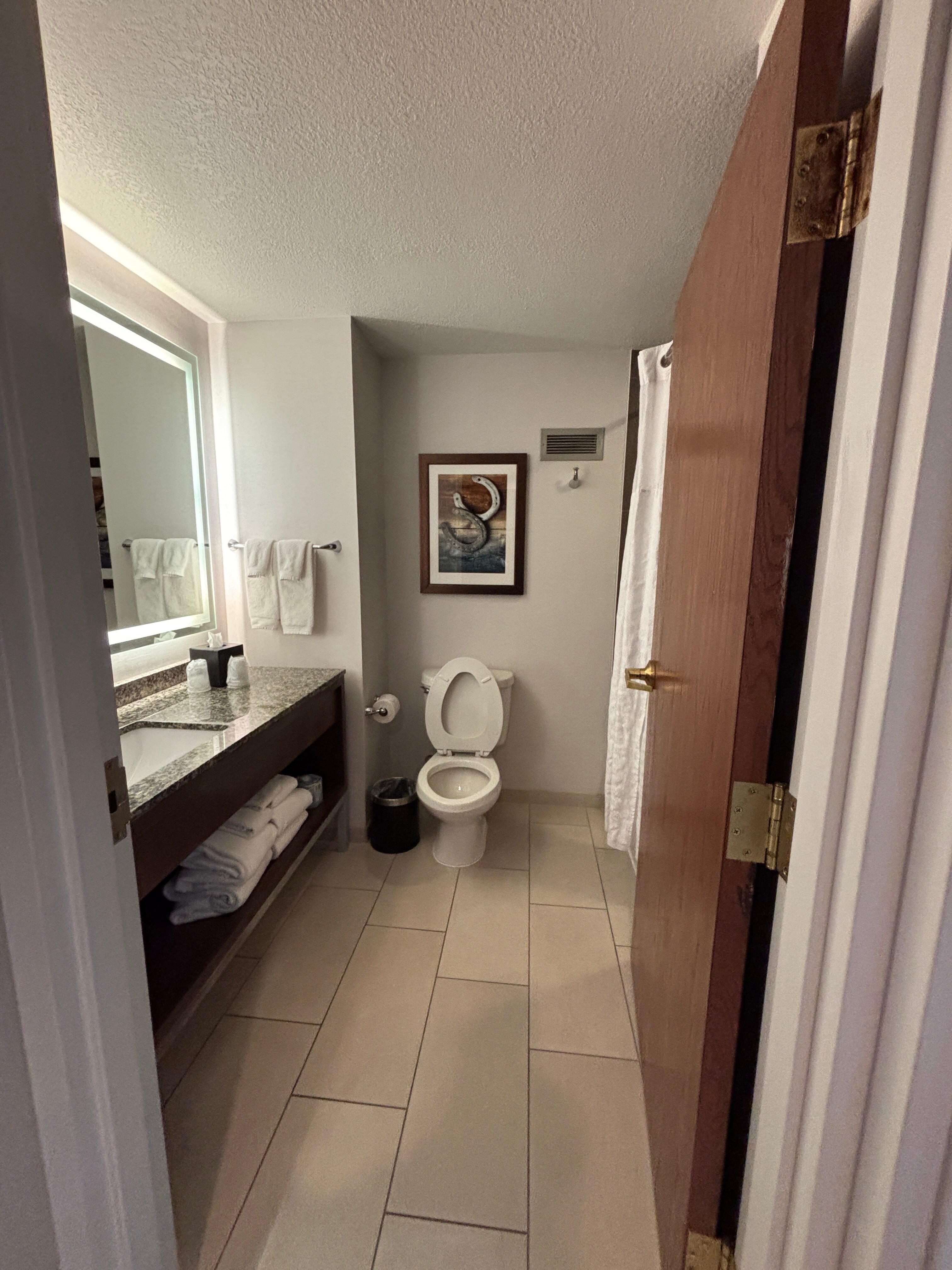 Embassy Suites by Hilton Dallas DFW Airport North-浴室