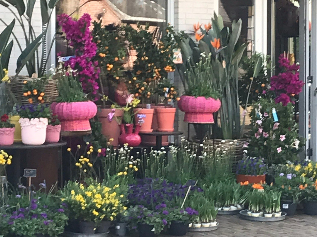 Bloemenhuis Monique-Heiloo必去景点