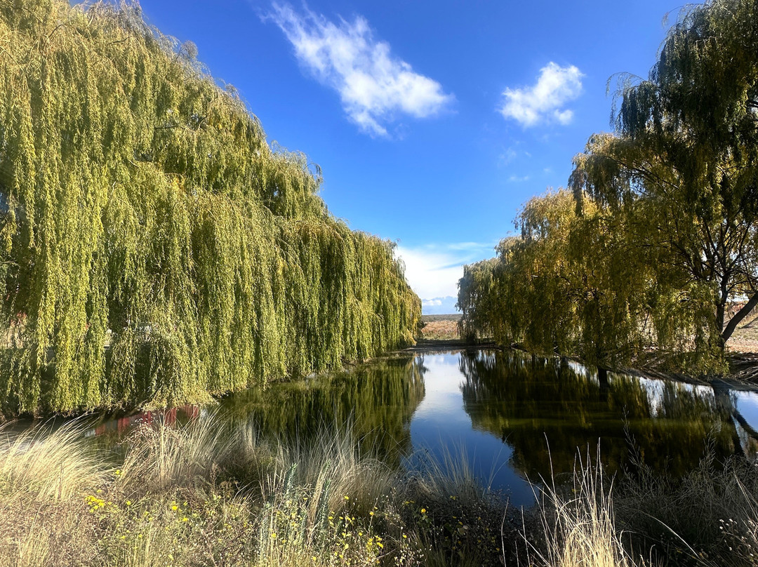 Zorzal Wines-Tupungato必去景点