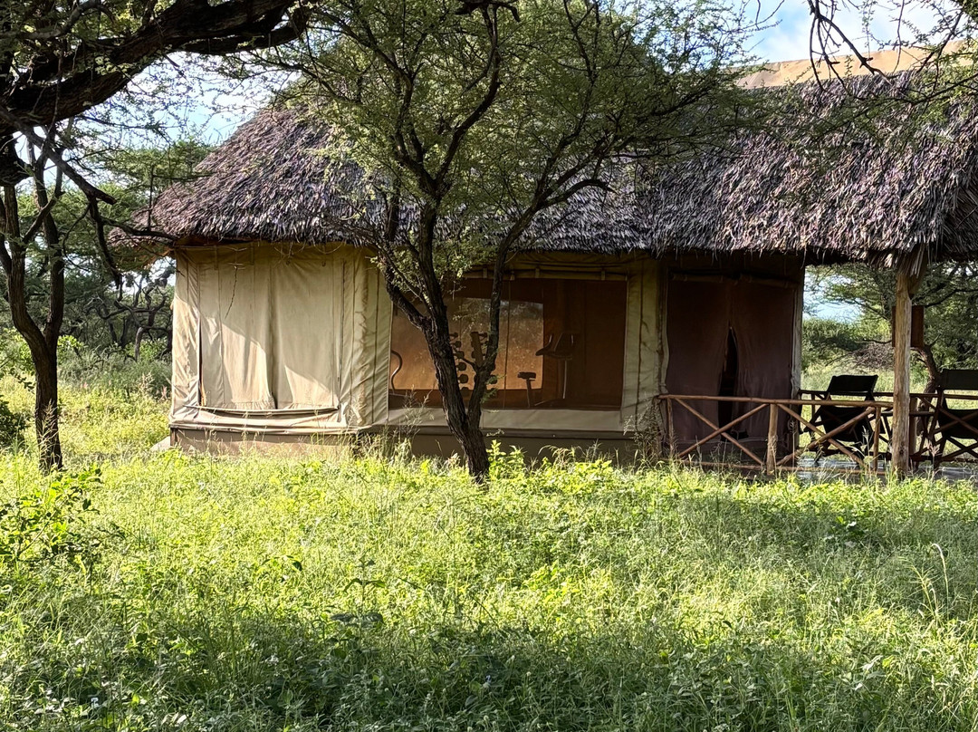 Severin Safari Camp主图