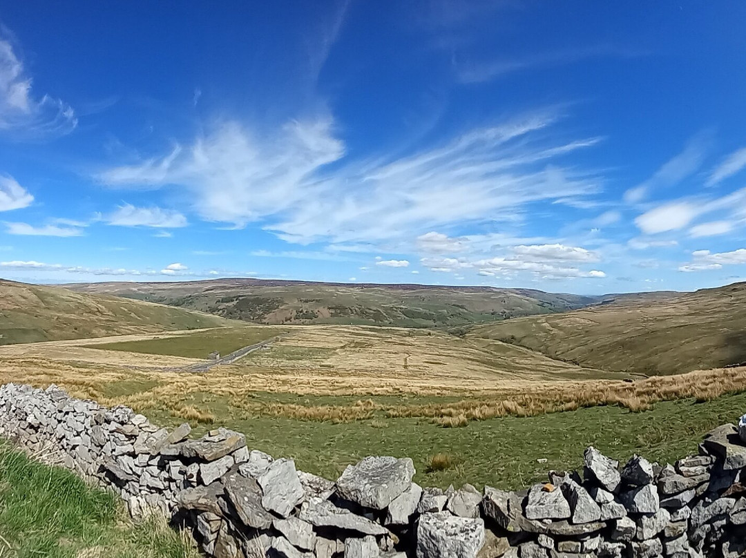 Buttertubs Pass景点图片