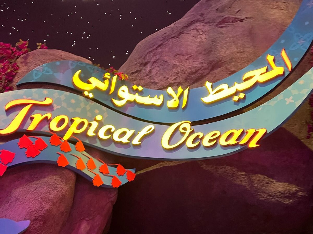 The National Aquarium Abu Dhabi景点图片