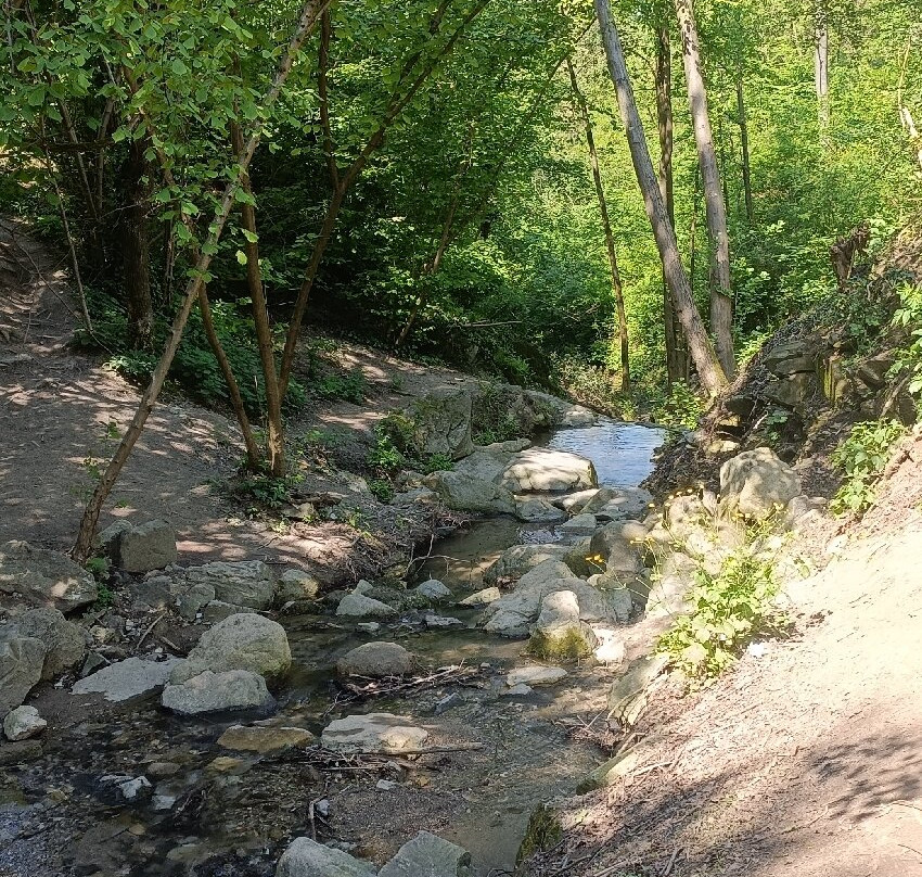 Cascata Schivanoia-Castelnuovo必去景点