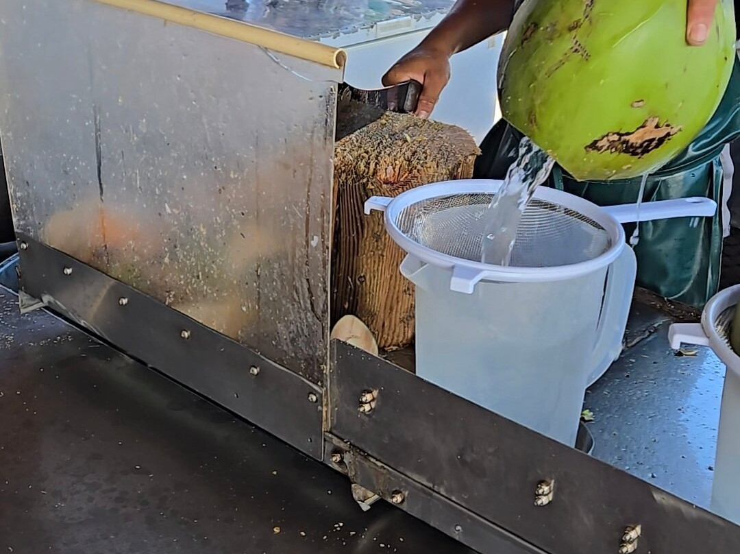 Farm Fresh Direct-乔治城必去景点