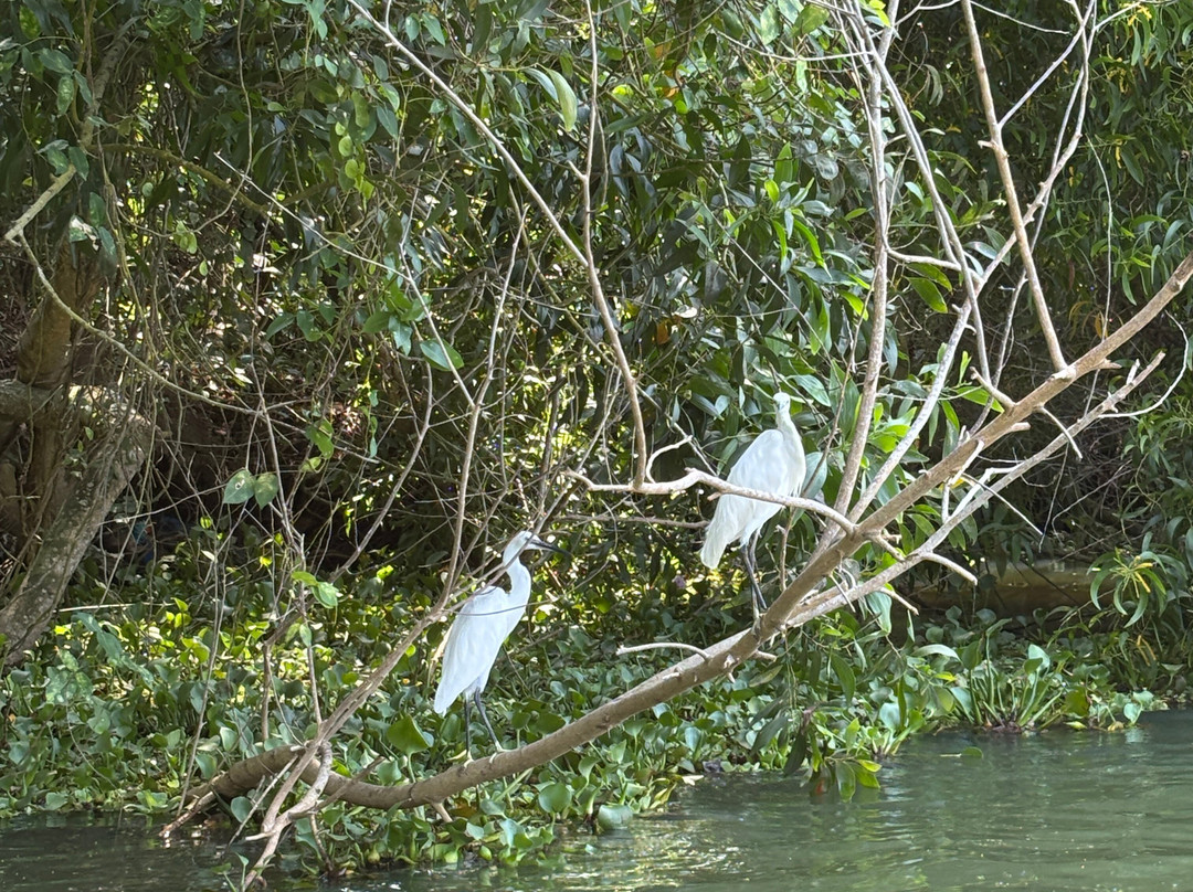 Poovar Boating-Poovar必去景点