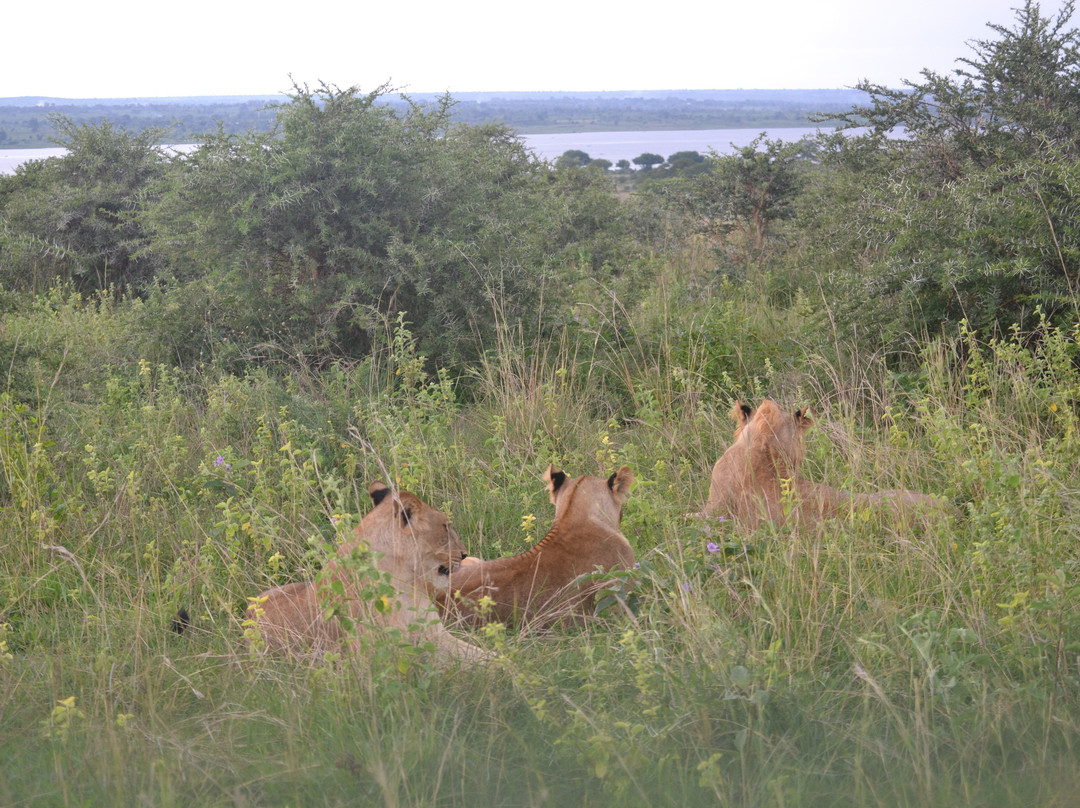 Eshande Safaris Tours & Travel-马辛迪必去景点