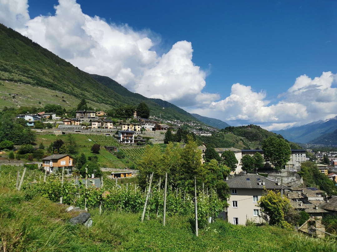 Alberto Marsetti Azienda Agricola-Sondrio必去景点