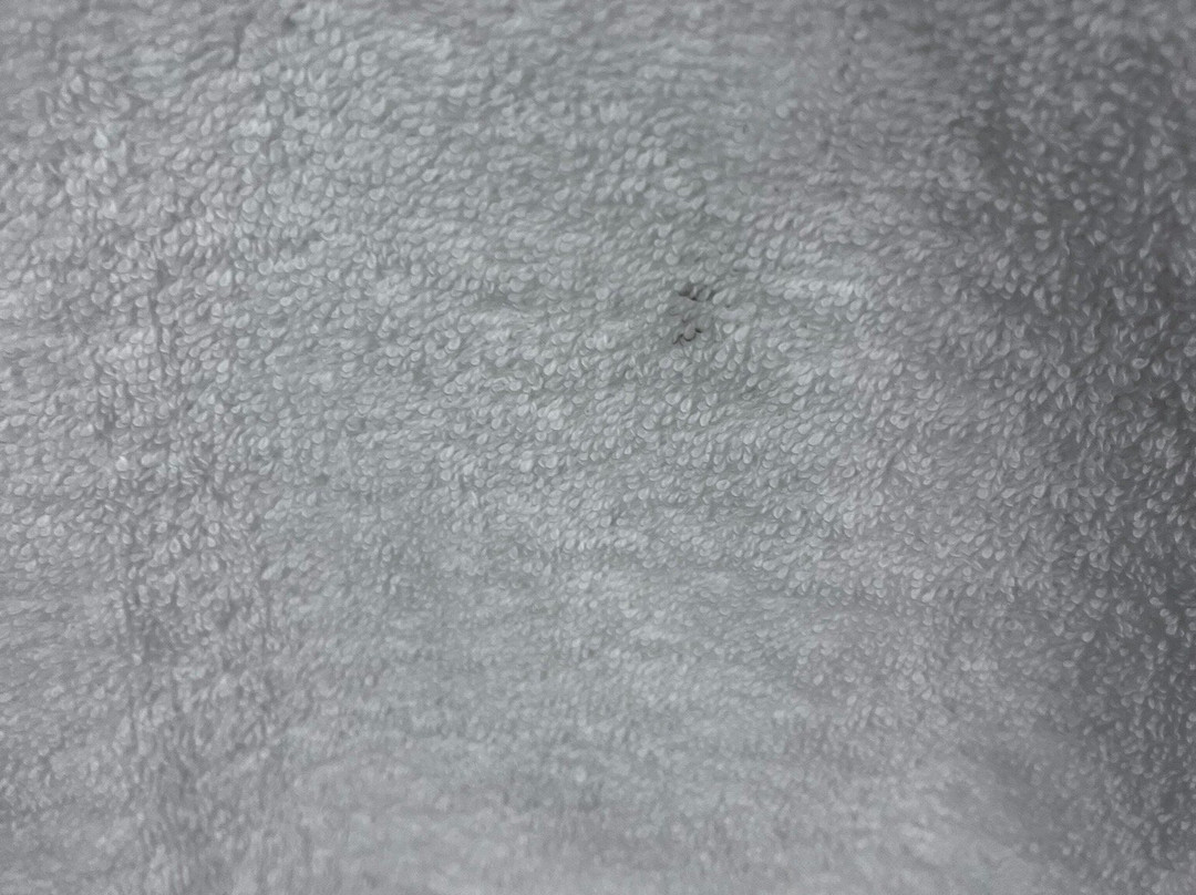 Quality Inn & Suites Amsterdam主图