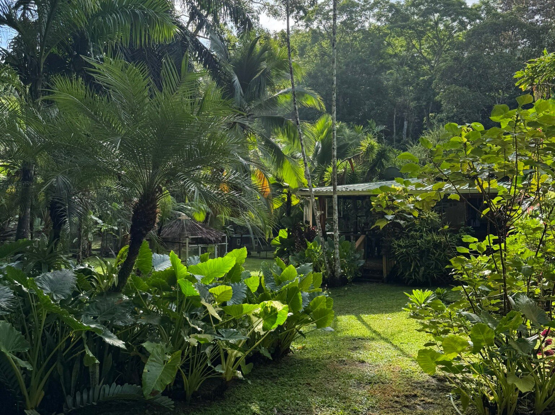 Ave Azul de la Osa-Carate必去景点