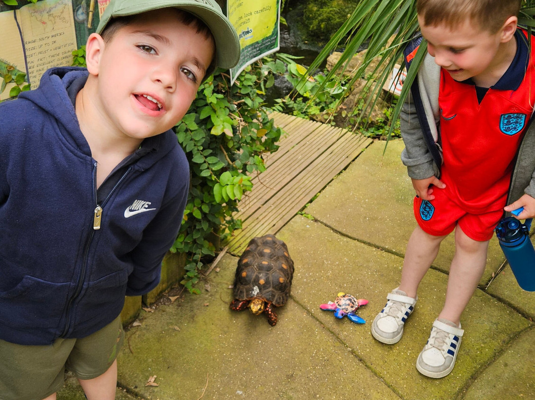 Bugtopia Hornsea Zoo-Hornsea必去景点