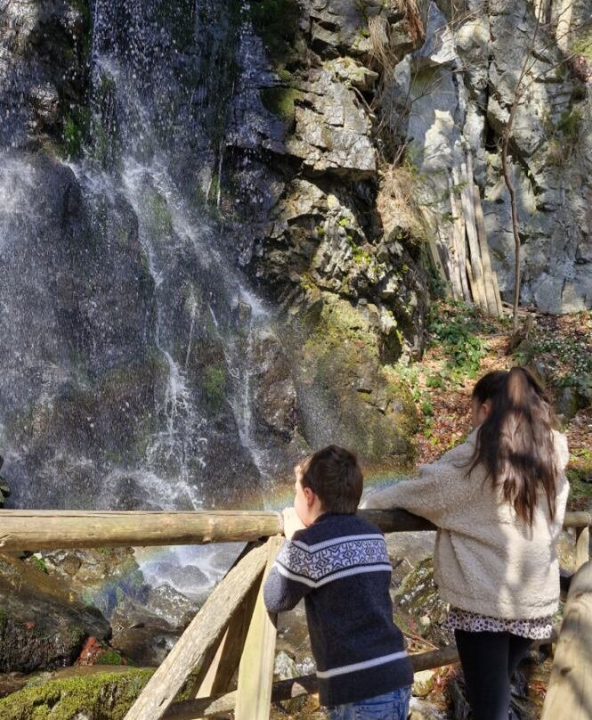 Slap Skalca - Waterfall Skalca景点图片