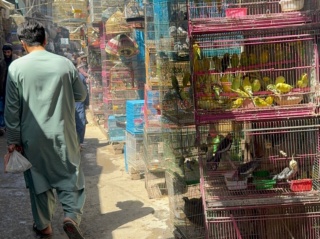 Let's Be Friends-Mazar-i-Sharif必去景点