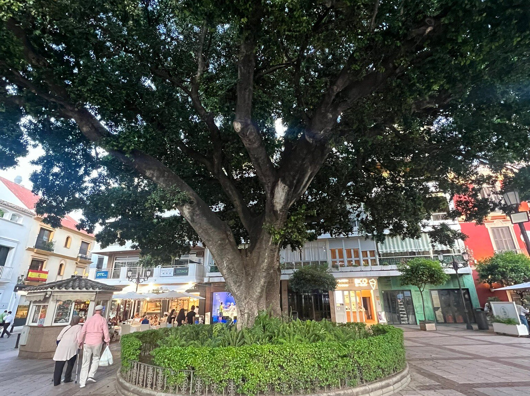 Plaza Constitucion-福恩吉罗拉必去景点