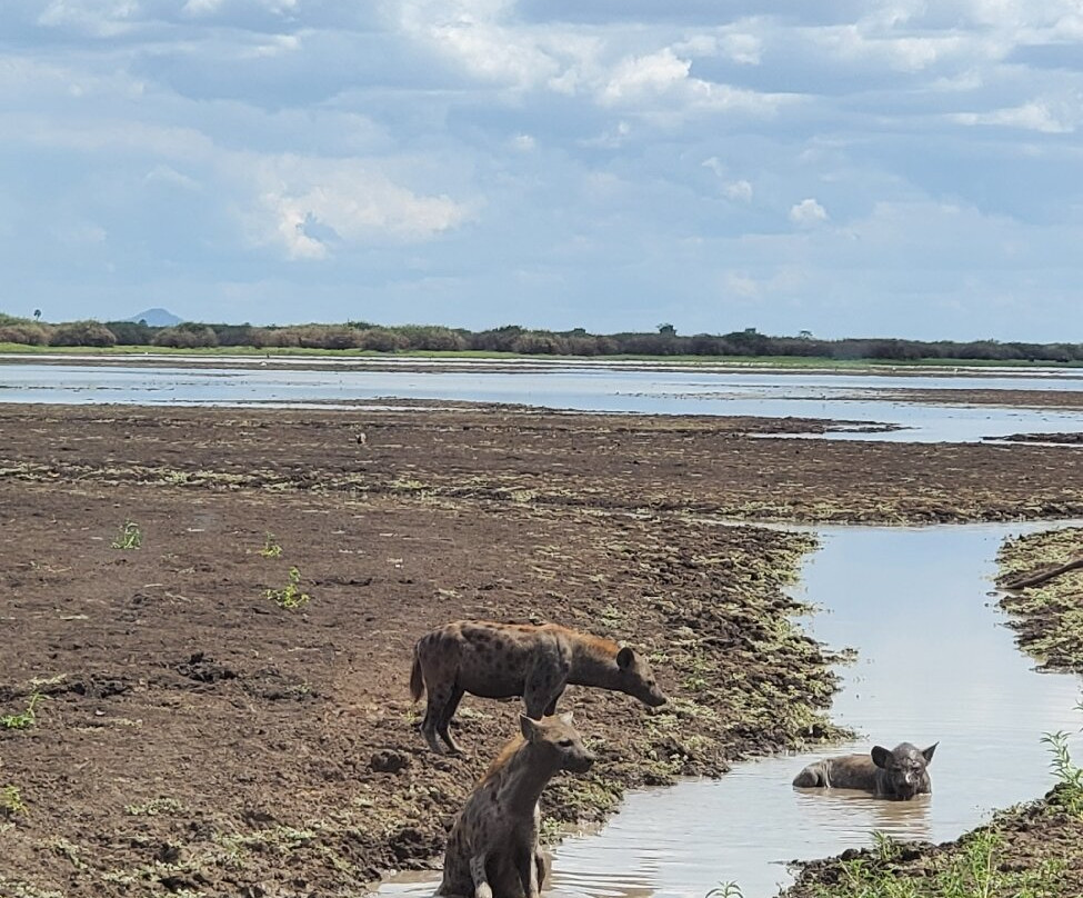 Mchaka Mchaka Tours-Mloka必去景点