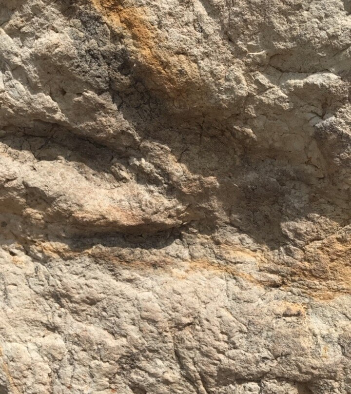 Dinosaur Ridge-Morrison必去景点