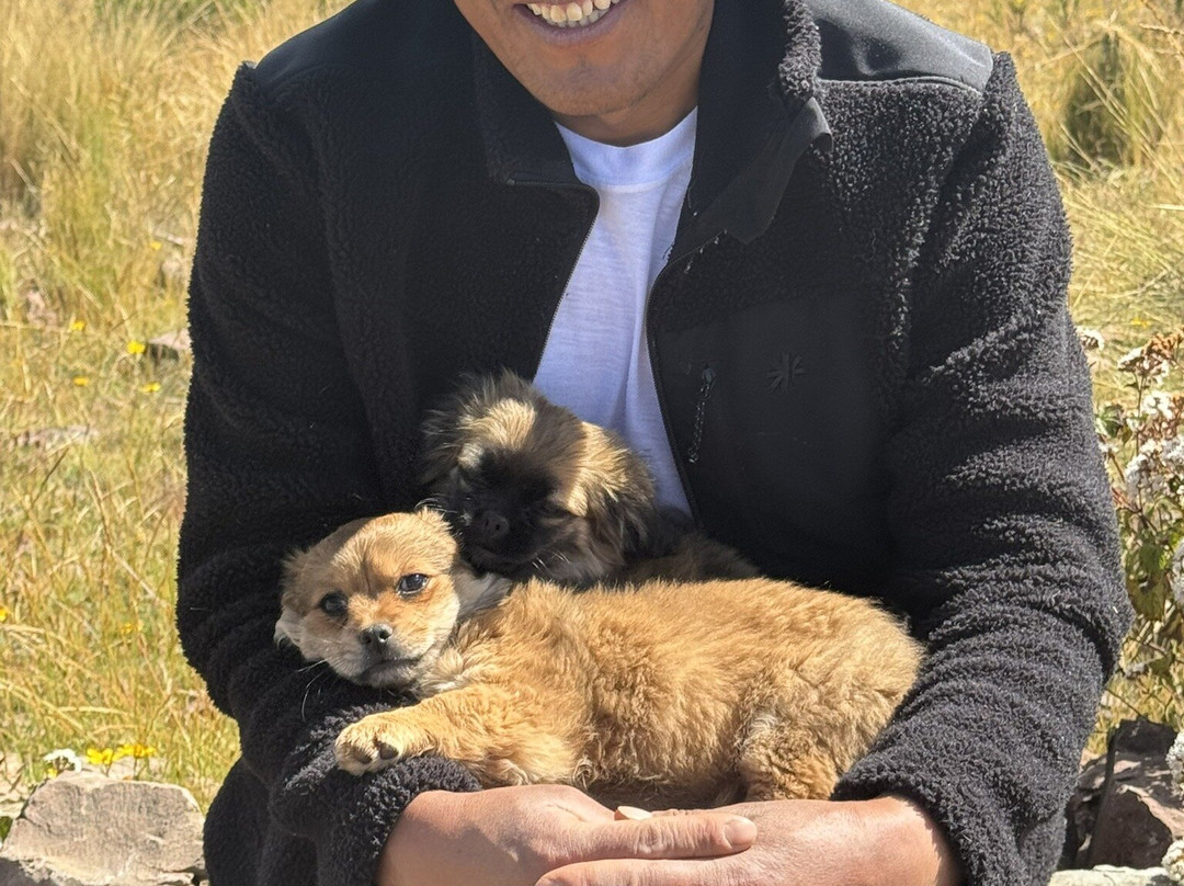 Alpaca Trek Adventures景点图片