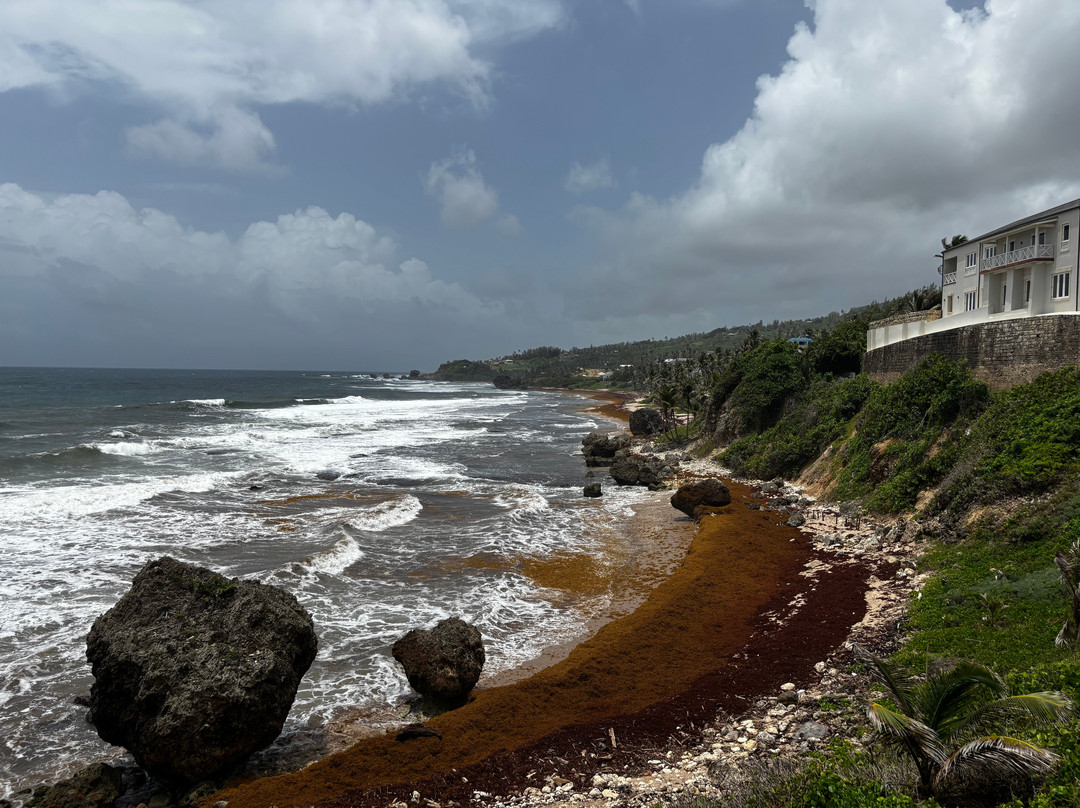 Wild Barbados-Cattlewash必去景点