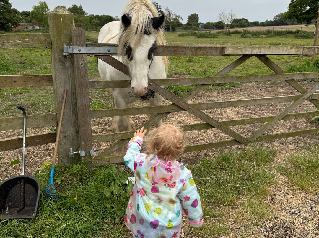 Tostock Animal Park-Tostock必去景点
