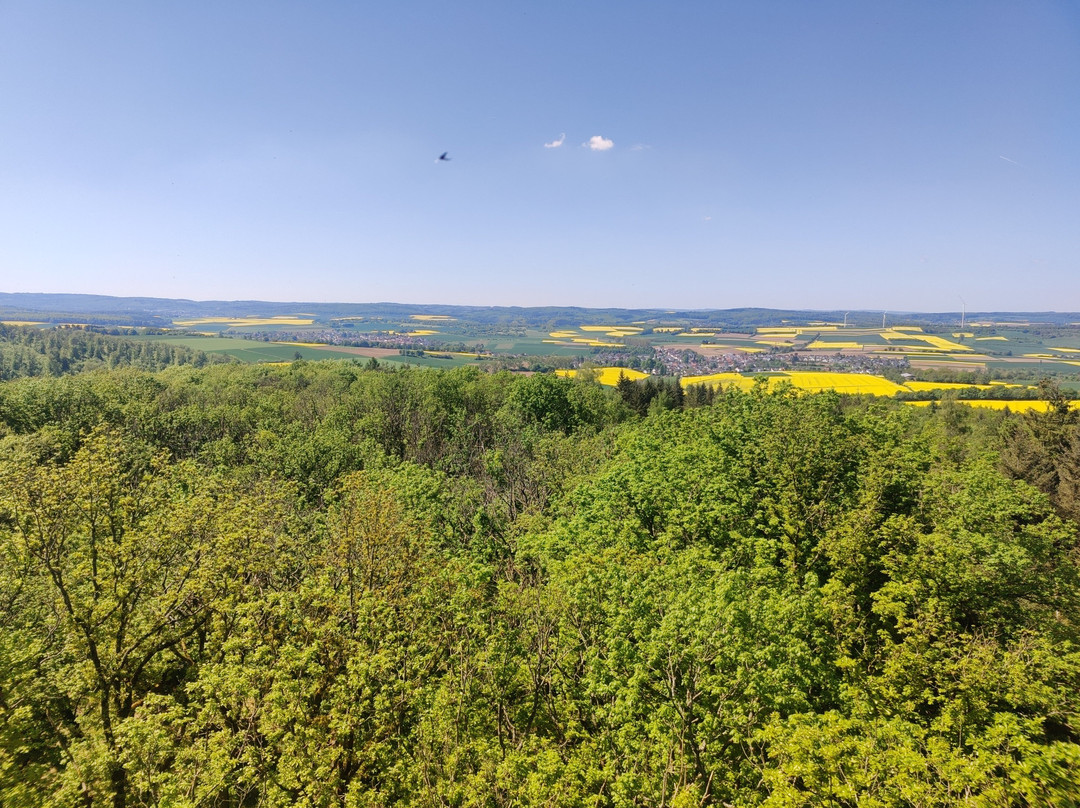 Baumwipfelweg Bad Camberg
