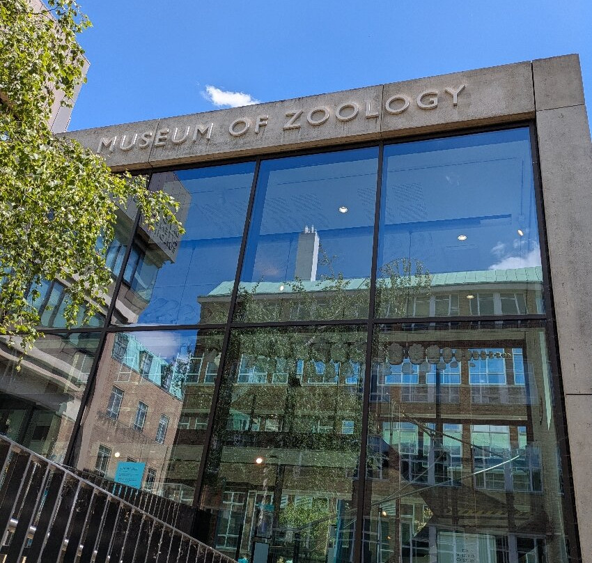 University Museum of Zoology-剑桥必去景点