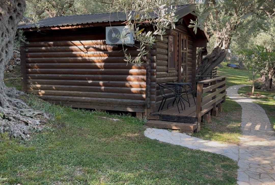 Holiday Park Olive Tree主图