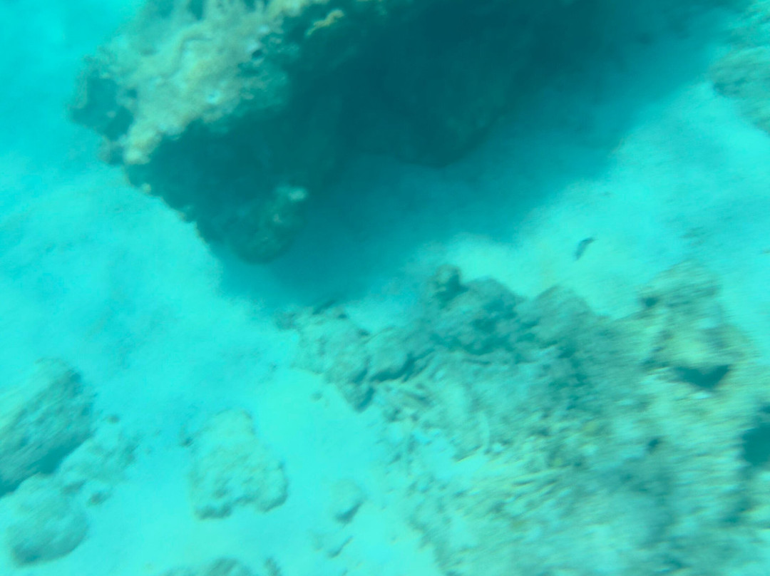 Chukka Caribbean Adventures-Grand Turk必去景点