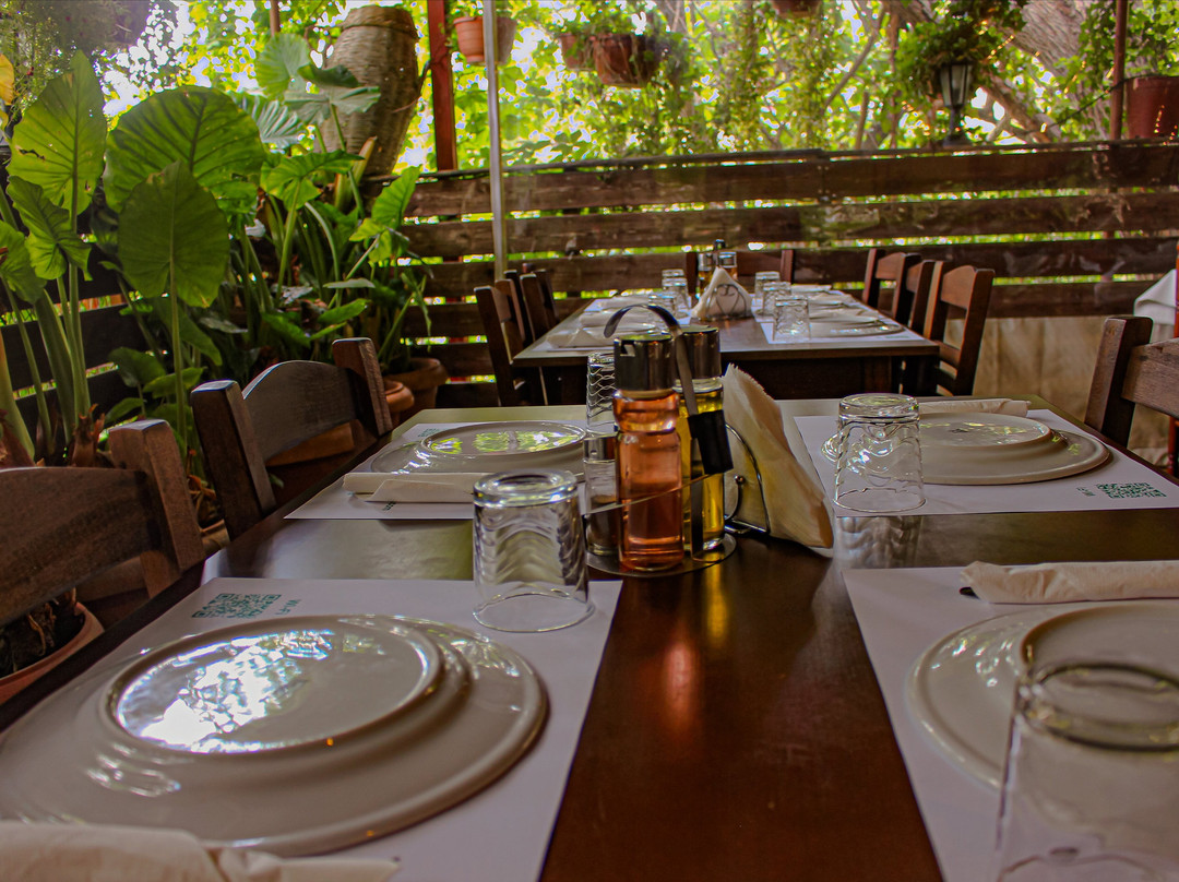 Potamitissa餐馆和美食-Polydentri Tavern