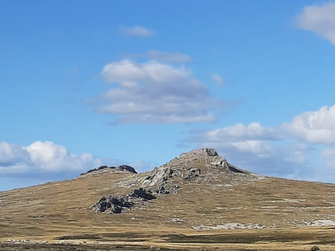 Falkland Island Spirits