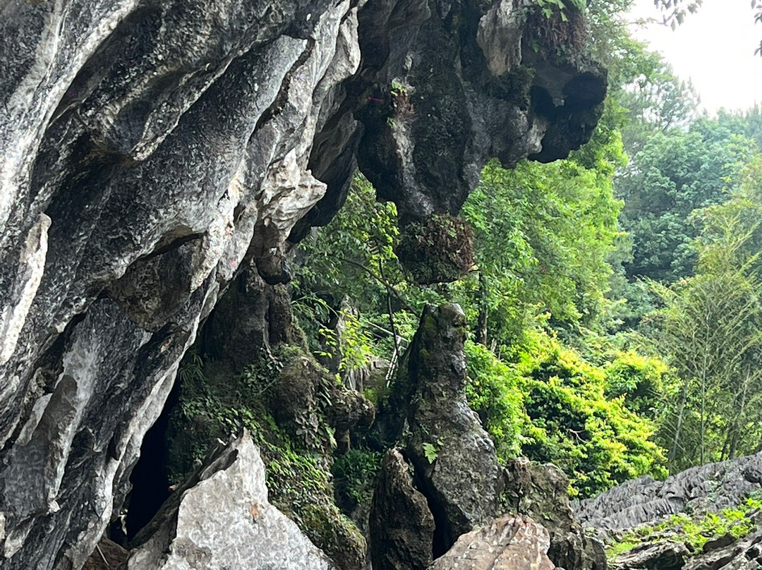 永安鳞隐石林-永安市必去景点