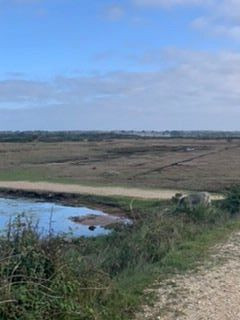 The Solent Way Walk景点图片