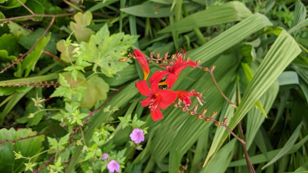 Thornton Memorial Public Park-Thornton必去景点